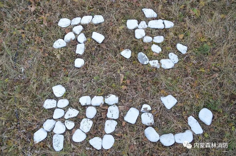 森林消防员主题教育学习心得体会,森林消防队伍如何强化使命责任感