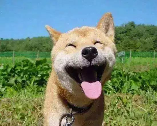 谁还不是个小可爱文案,谁小时候还不是个小可爱