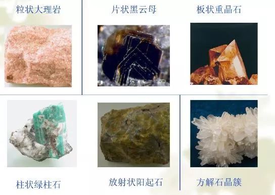 谁还不是个小可爱呢下一句,谁还不是小可爱