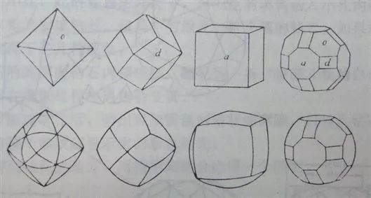 谁还不是个小可爱呢下一句,谁还不是小可爱
