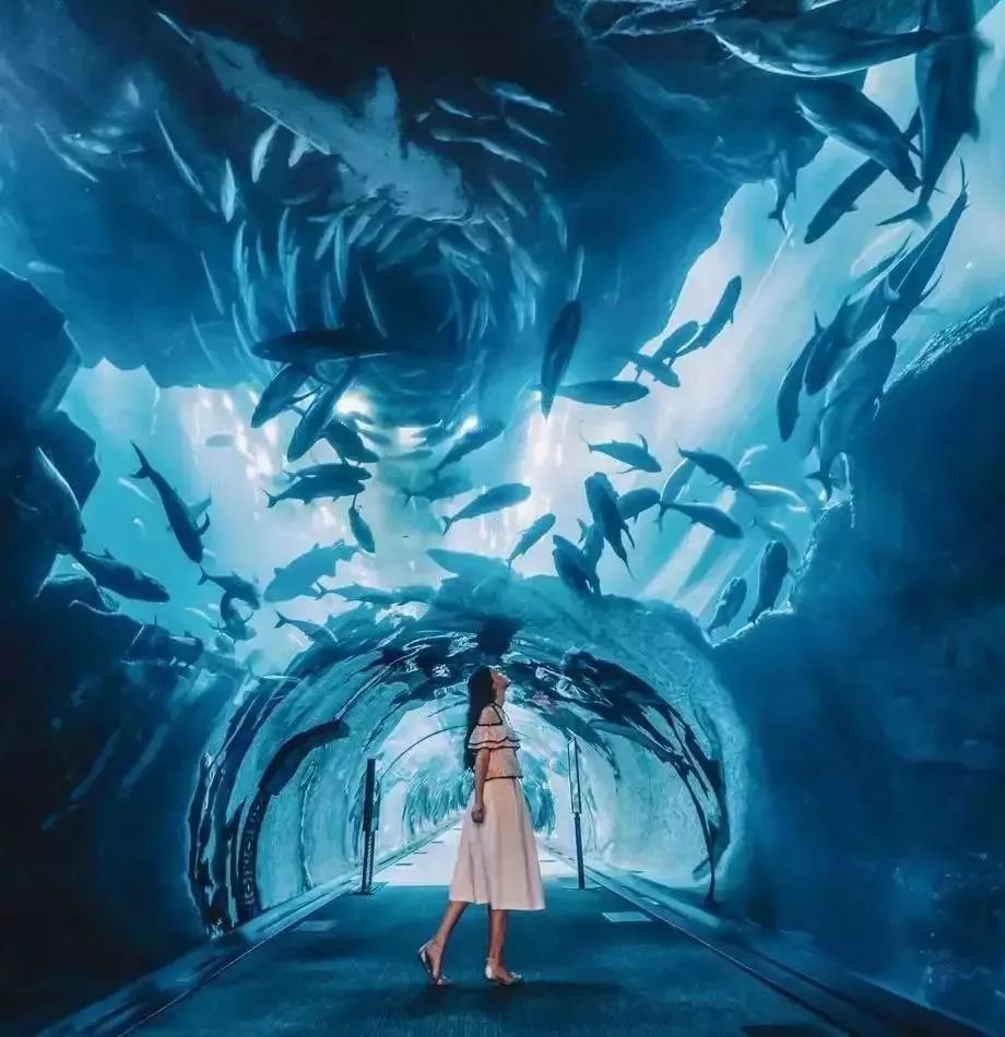 盘点全国顶级商场,全球最值得去的10个商场