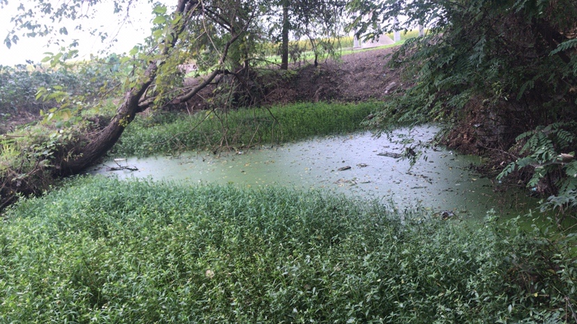 路亚打黑2022年视频,路亚打黑第一条鱼