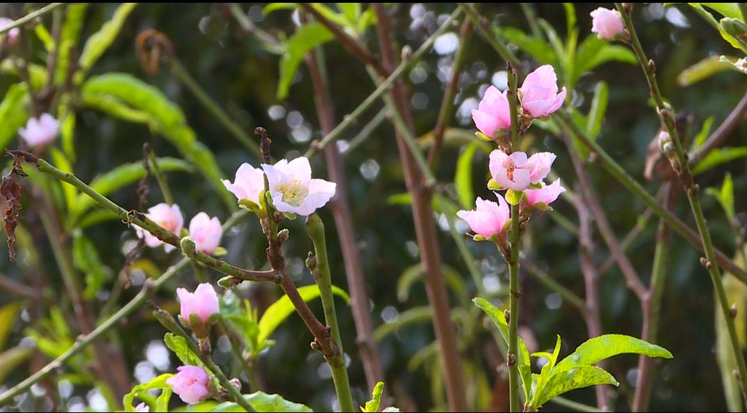 都是天气惹的祸大结局,都是天气变冷惹的祸