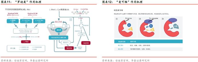 华泰固收银行张继强,华泰固收首席张继强