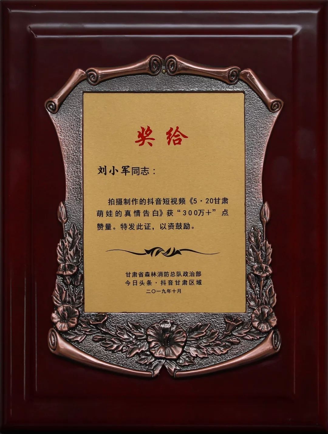 甘肃省森林消防总队抖音,甘肃森林消防视频