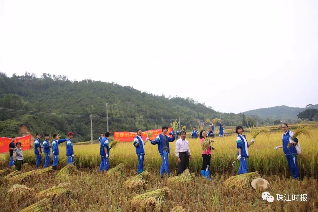 华附南海实验高中重本率,本科上线率82.37%排名