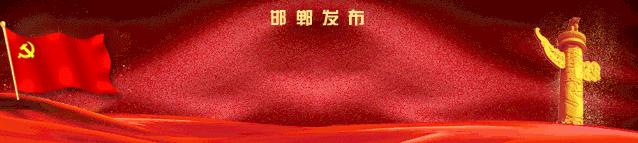 扬威国际赛场视频,扬威技能大赛