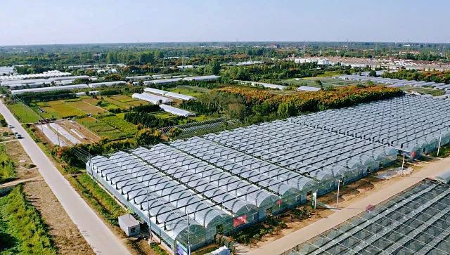 专版聚焦！《新华日报》这样点赞沭阳~