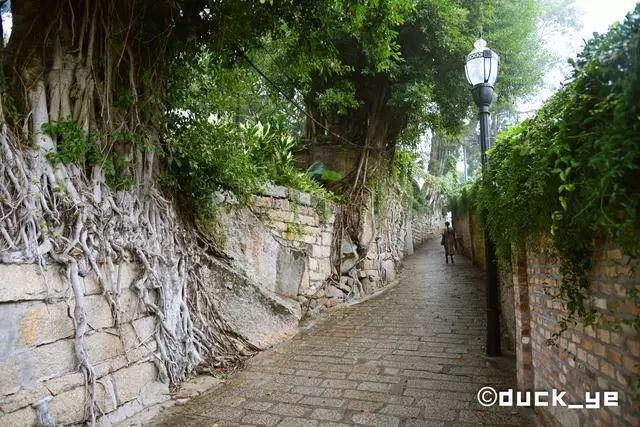 鼓浪屿三个必打卡的景点,鼓浪屿5大景点攻略