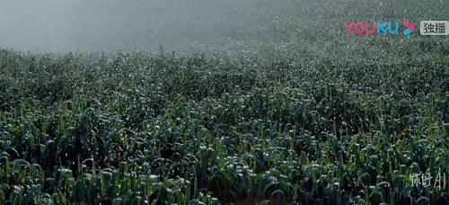 大数据精准助农新平台优点,佳格智慧农业