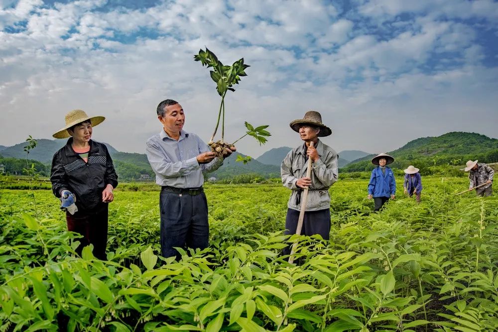 瀹夊窘姹犲窞鍐滄潙鐢熸椿璁板綍,姹犲窞娓哥帺鏃ヨ