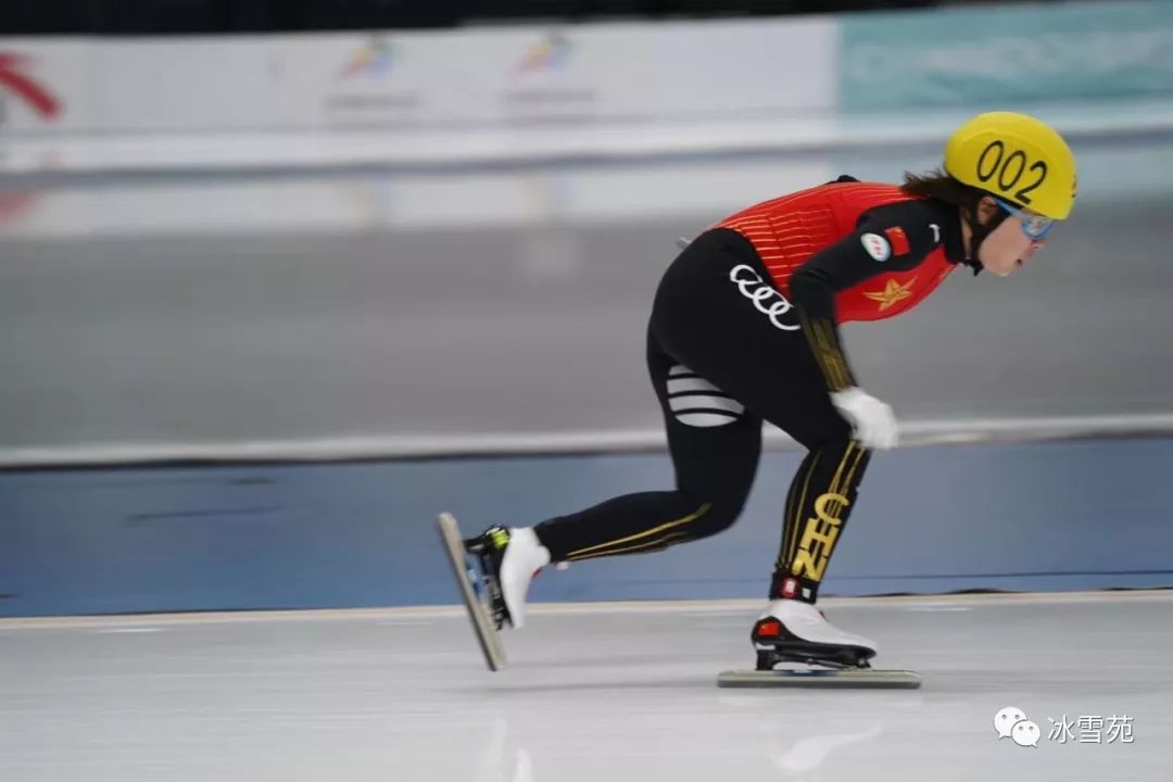 换个身份继续战斗,周洋卫冕东奥冠军