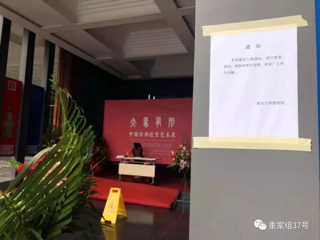 重庆大学赝品博物馆央视,重庆大学博物馆赝品事件教授