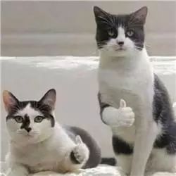 团购|网红单品一网打尽,抚平换季皮肤问题