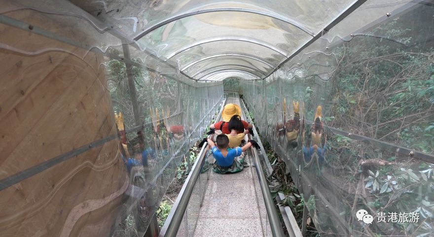 推荐|七彩天梯、野生猕猴、汽车露营……贵港龙潭国家森林公园与你不见不散