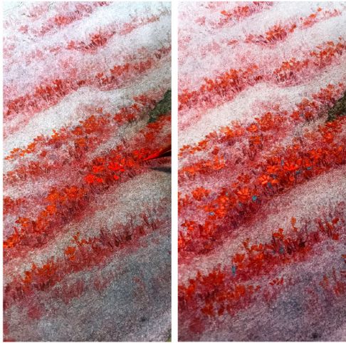 山海经异兽艺术画作,90后画家画山海经