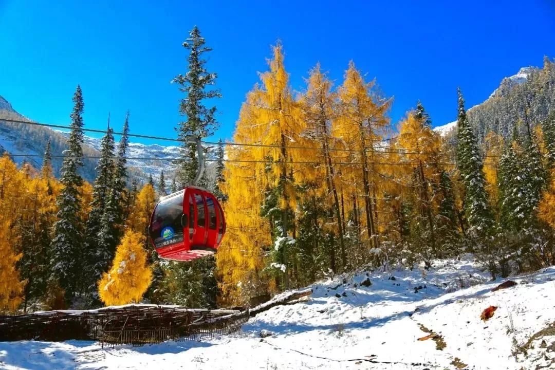 秋天的川西彩林,川西彩林最佳观赏地点