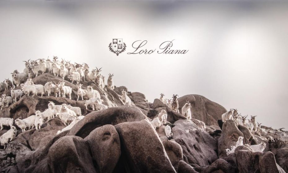 早报|MOCo.母公司发声明，决定暂时退出香港市场；欧莱雅集团收购新香水品牌；Gucci将举办男装秀