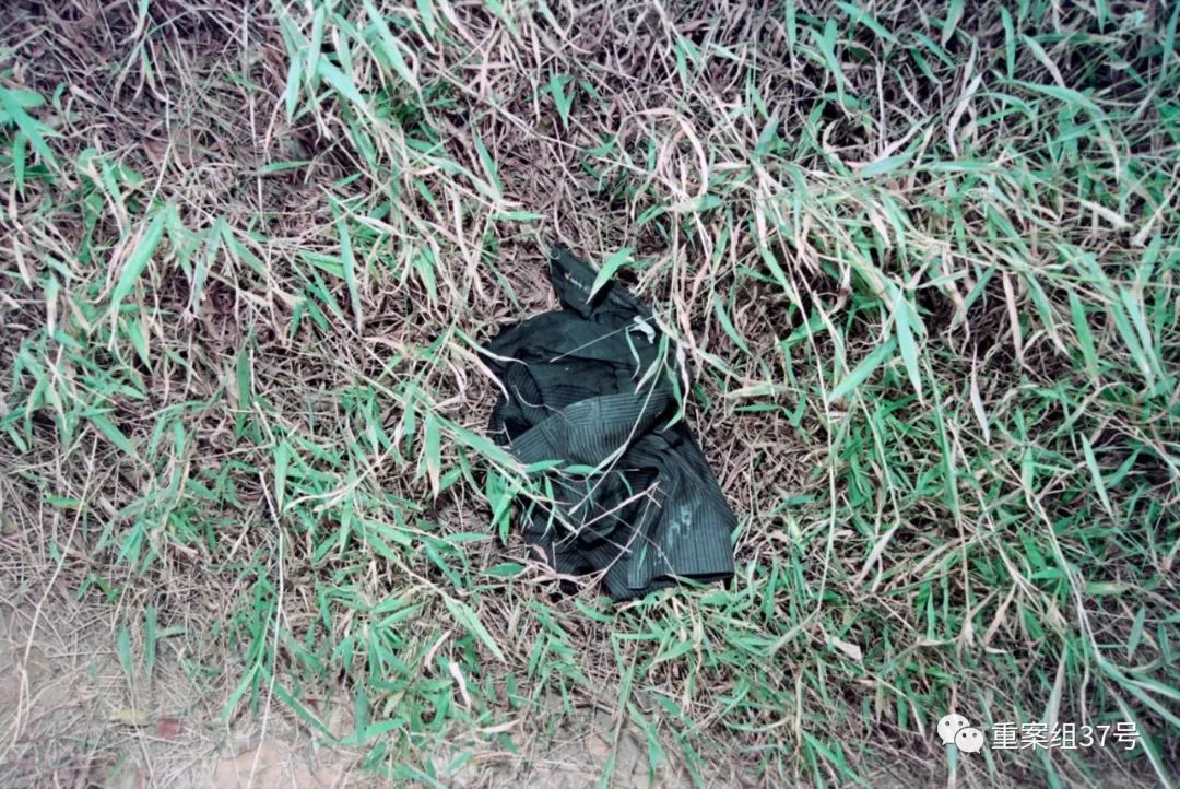 15年前“无名碎尸案”告破，大学毕业生陷“恒天”传销被害