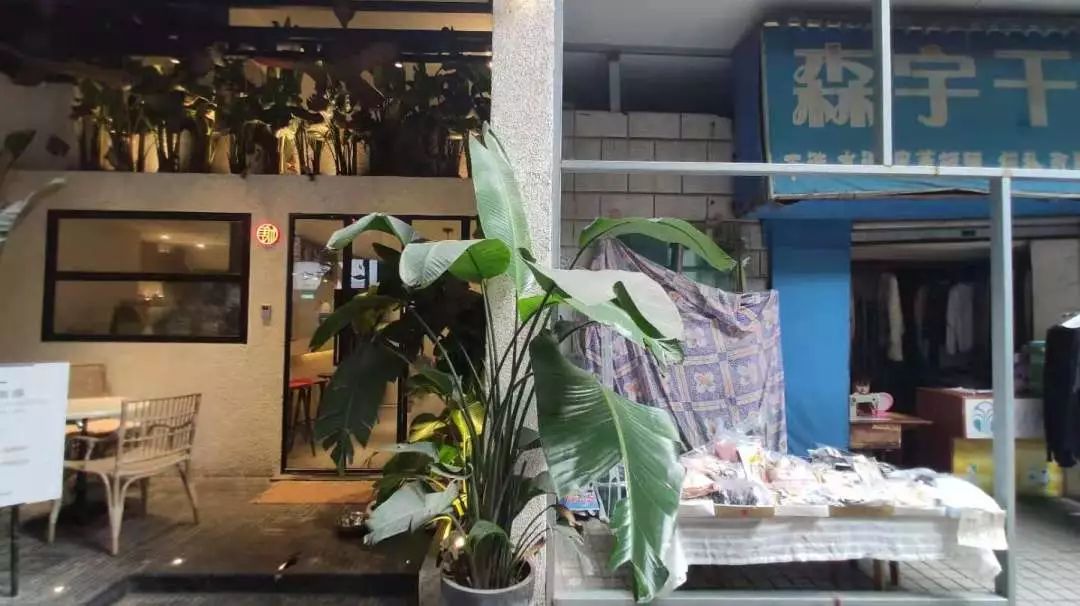 冲突与调和,新晋网红街区望平坊的素颜时光|城市觅食