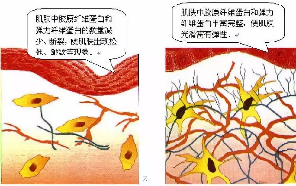 对抗岁月魔皱，护肤品能做的比你想象中更多...