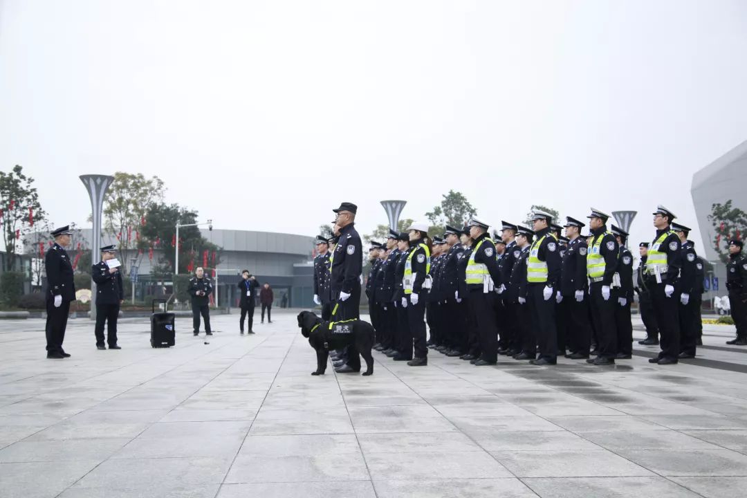 我看沙坪坝政法综治新成就④|突出重点分类施策全力净化治安环境——沙坪坝区纵深推进扫黑除恶专项斗争