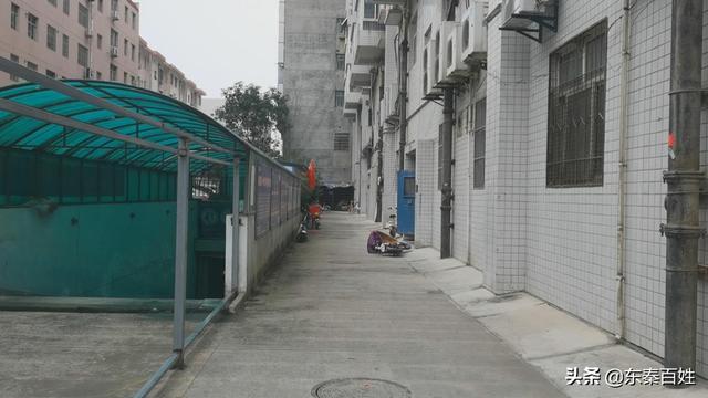 家用灭火器过期后找哪些部门更换,灭火器老化存隐患科普调查视频