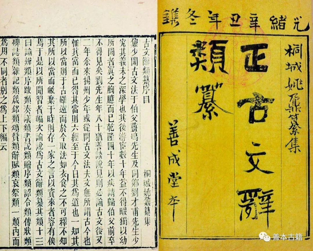 桐城姚鼐记原文,桐城派的代表人物姚鼐文章