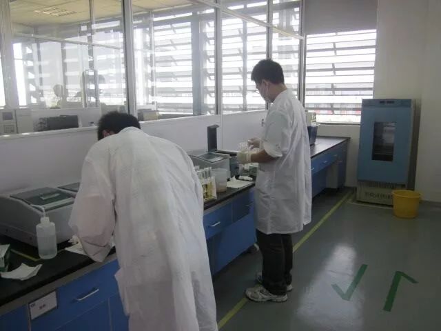 瀹炲悕琛ㄧ櫧,瀹炲悕琛ㄧ櫧鍗曚綅