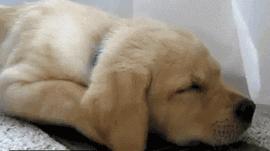 有人想你耳朵会发热吗,耳朵发热是有人想你还是有人骂你