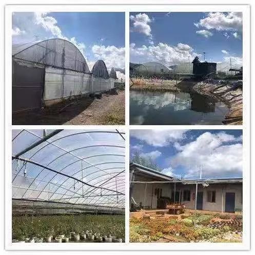 云南东方希望畜牧有限公司招聘,丽江畜牧兽医招聘网最新