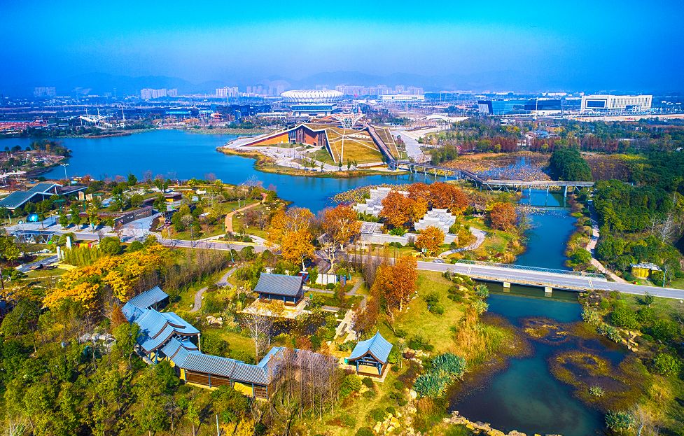 黄石赏菊,黄石哪里可以赏菊