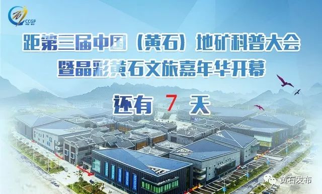 黄石赏菊,黄石哪里可以赏菊