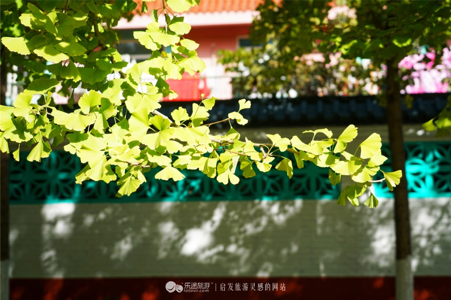 北京韩村河旅游景村,韩村河风景区