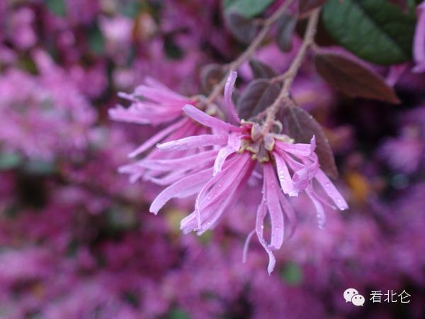 在宁波生活是怎样的体验,在宁波读书的真实感受