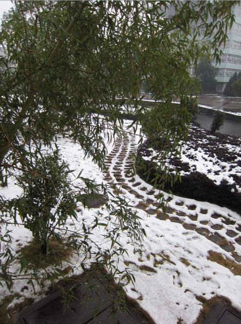 在宁波生活是怎样的体验,在宁波读书的真实感受