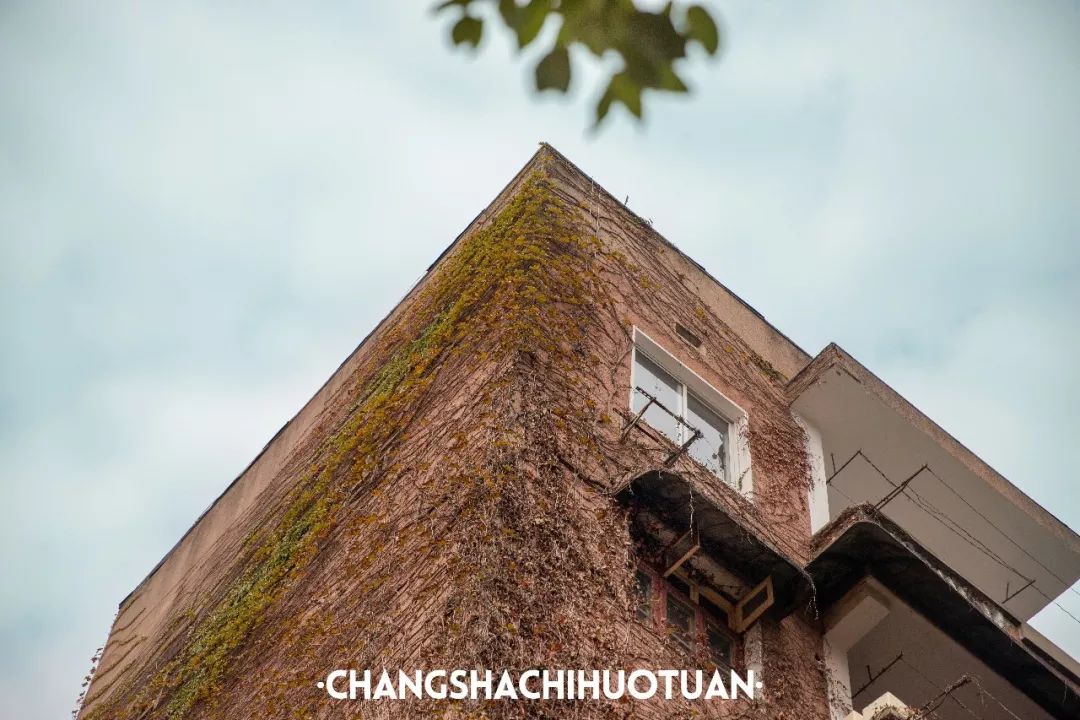 闀挎矙姘戞斂瀛︽牎瀹樼綉,闀挎矙姘戞斂瀛﹂櫌鐢熸椿