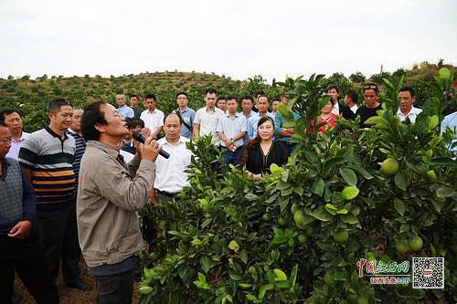 脱贫村致富带头人,培育致富带头人助力脱贫