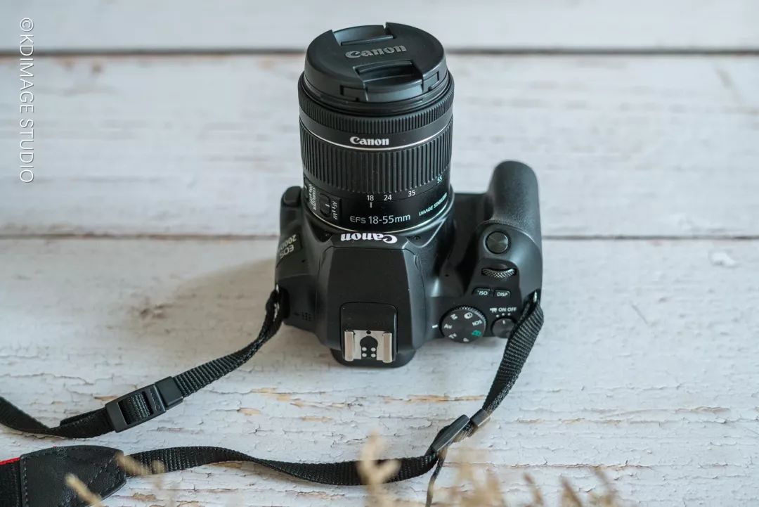 vlog单反入门级相机推荐,初学vlog适合用什么样的相机