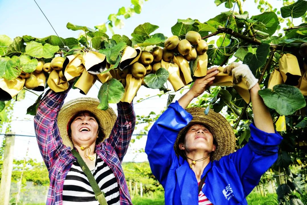 三国的赤壁,三国赤壁视频