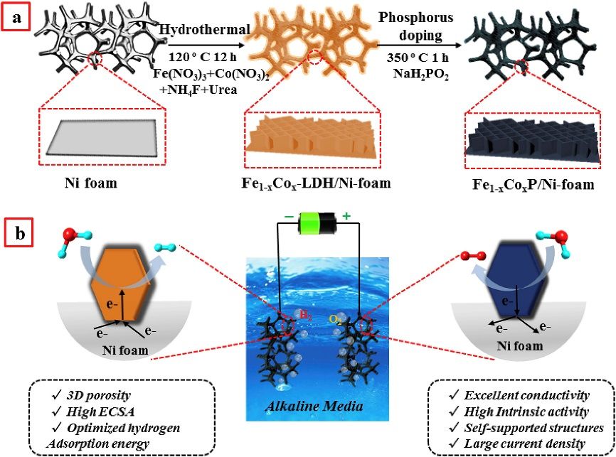 厦大NatureCat.，天大NatureCat.,催化前沿每周精选丨1014-1020