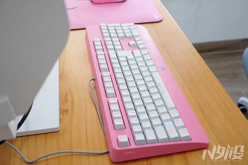 ZOWIEGEARDIVINA系列全家桶开箱图赏