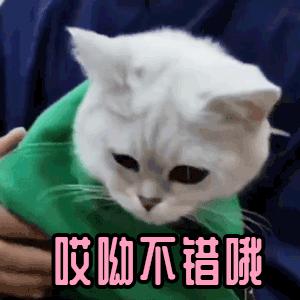 过年大扫除家家必备的清洁小技巧,过年家里大扫除攻略