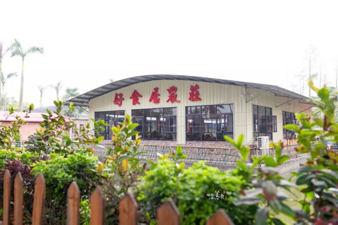 嚟度，可能系顺德桑拿种类最多嘅地方！鸵鸟都唔放过！真够呛