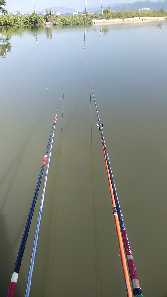 带友渔乐记渔获20斤,钓鱼不能*欢偷**