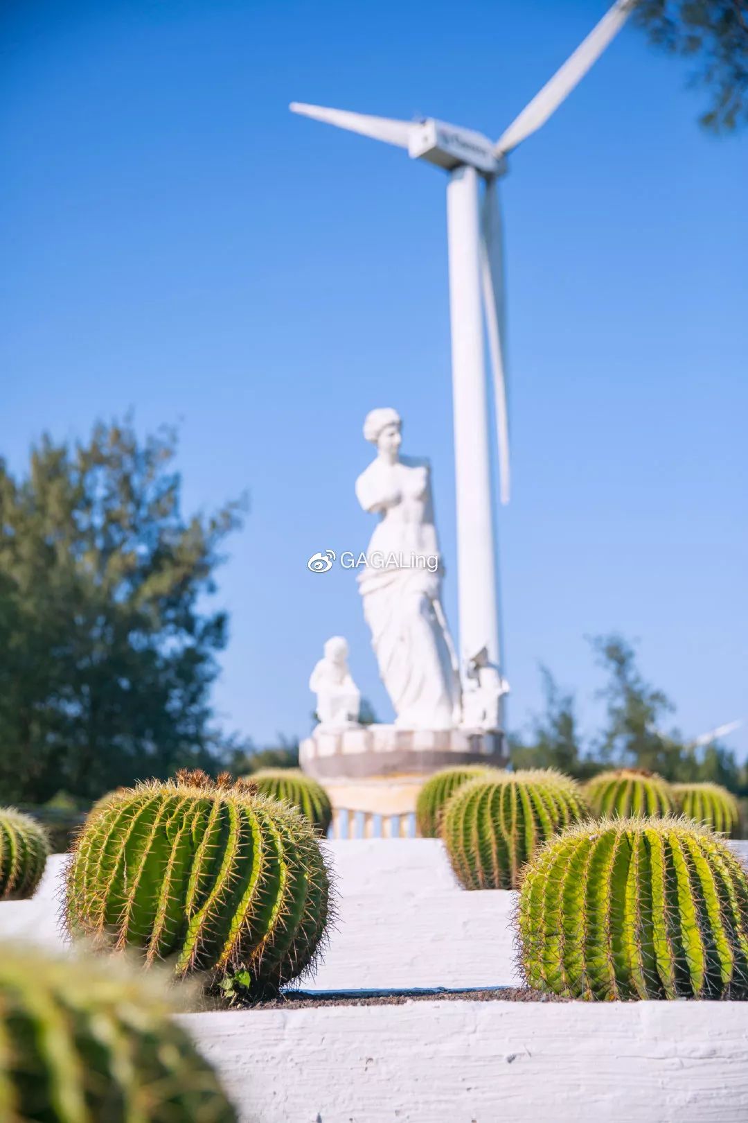 大V推荐|国内少有的黄金沙滩海岸,漳州六鳌游玩必备攻略,拍照小贴士!