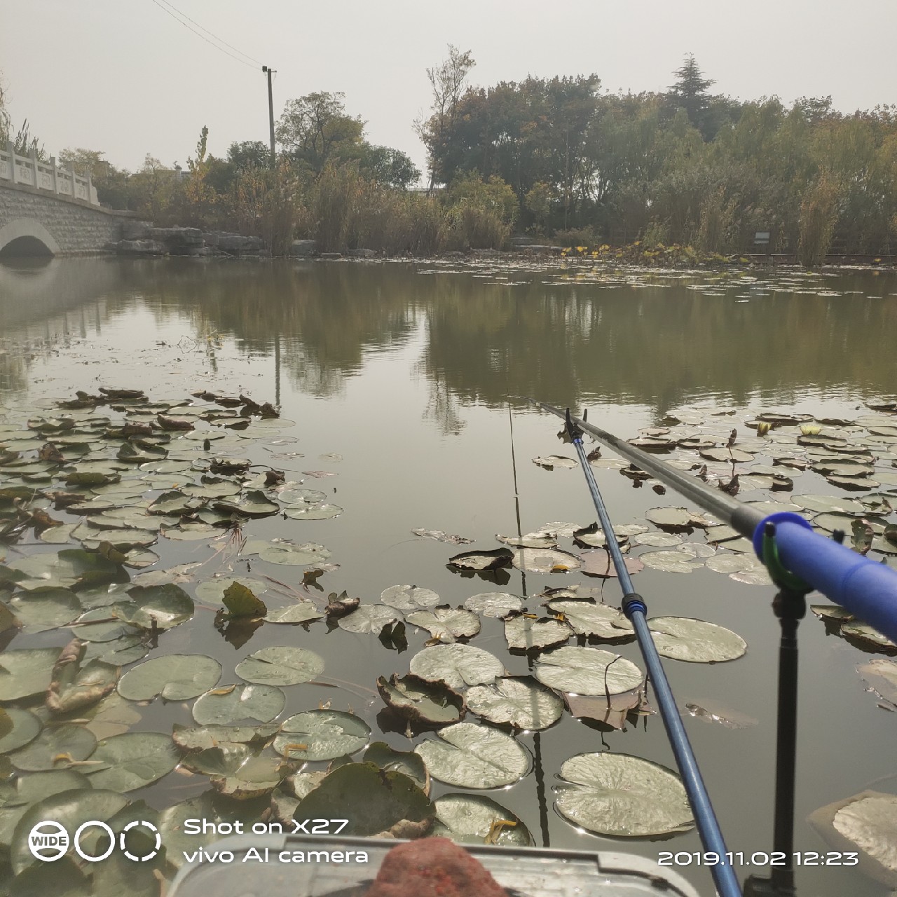 坚持就是胜利,收竿鱼喜获漂亮大板一尾