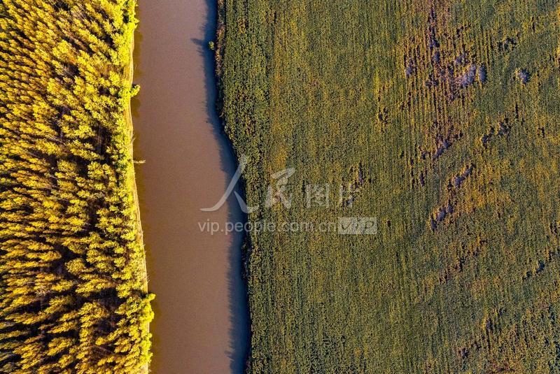 山西万荣汾河碧波,汾河岸边秋色美
