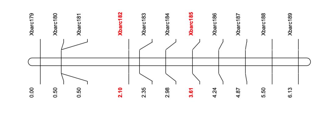 如何绘制交叉网状图,怎么快速画线性图