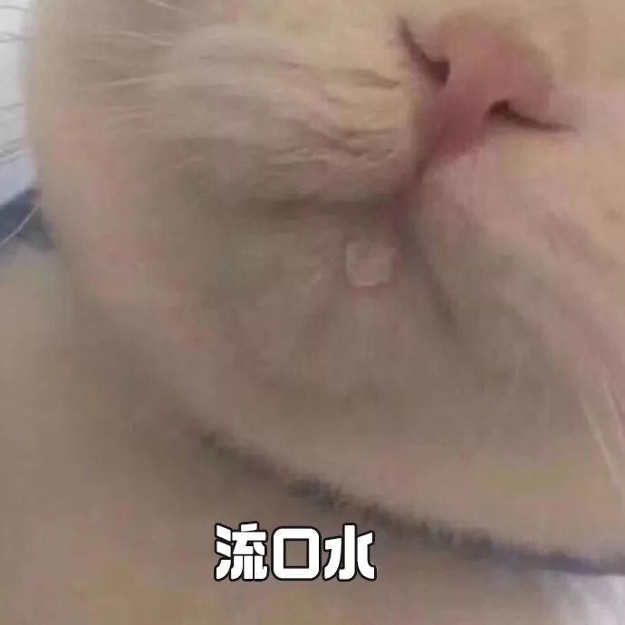 盘点消防员和小动物爆笑名场面,盘点消防员与小动物的搞笑瞬间